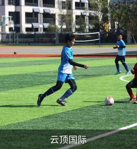 关于云顶国际